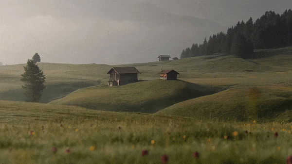 Depth parallax wallpaper effect on a landscape photo with moving grass